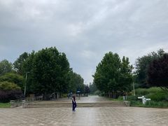 -望湖公园
