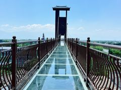 -白鹿原·白鹿仓