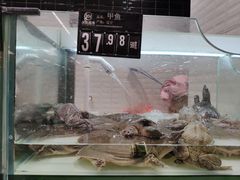 -永辉超市(红旗街万达广场店)