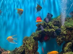 -海合安武汉极地海洋公园