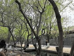 -春风习习