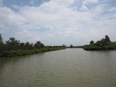 -大湾区中央湿地公园