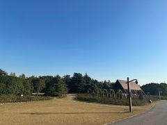 -上海滨江森林公园