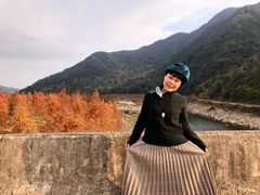 -小芝红树林