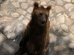 -上海动物园(地铁站)