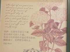 -彩虹之约•淮扬家宴(亚运村店)