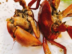 -友强·23年特色海鲜大排档(厦门店)