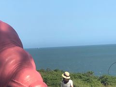 -漳州滨海火山岛自然生态风景区