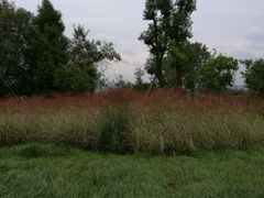 -仙海旅游度假区