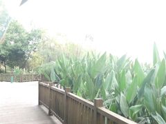 android_upload_pic-五甲塘生态湿地公园