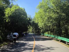 -玉渡山自然风景区