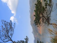 -羚羊峡古栈道森林公园