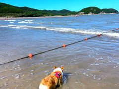 -东海半边山旅游度假区