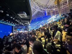 -烟台海昌鲸鲨海洋公园