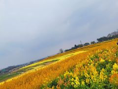 -白鹭湾湿地公园