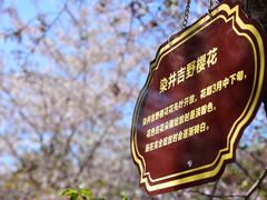 -西安青龙寺遗址景区