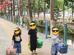 -新塘水果乐园(东洲大道店)