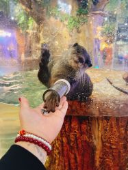 -Zoolung Zoolung动物主题公园(海信广场店)