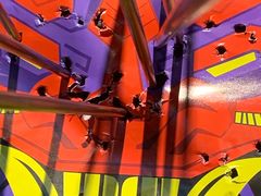 -轻武堂传统射箭·功夫茶·射击体验馆(仁和新城店)