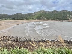 -北岐滩涂