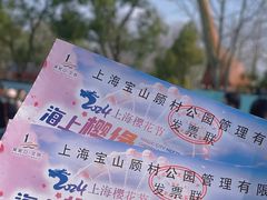 -顾村公园