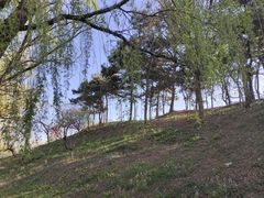 -北京凤凰岭