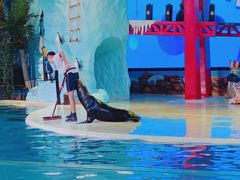 -三亚海昌梦幻海洋不夜城