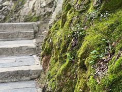 -终南山南五台景区