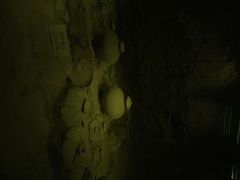 iphone_upload_pic-汉景帝阳陵博物院