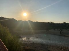 -鹤之洲湿地公园
