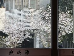 -熙盛源(永乐路店)