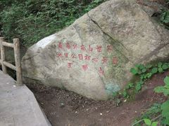 -王顺山国家森林公园