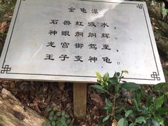 -梁野山景区