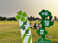 -上海滨江森林公园