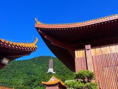 -深圳仙湖植物园