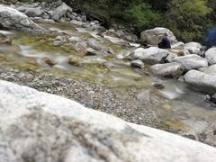 -陕西省红河谷森林公园