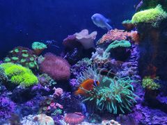 -成都浩海立方海洋公园