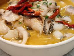 -Aqua Oasis 水天堂(常熟永旺店)