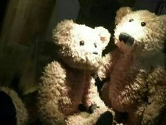 -济州岛泰迪熊博物馆