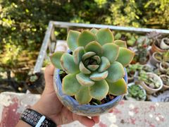 -于记沙布袋馄饨