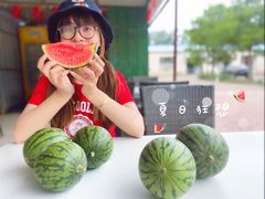 -西瓜小镇