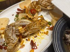 -尚海豆捞(乐虹坊店)