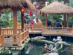 -南宫五洲植物乐园