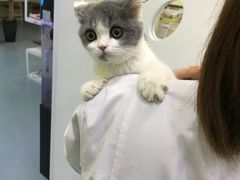 -瑞鹏宠物医院·爱宠堂·骨外专科(西荷分院)