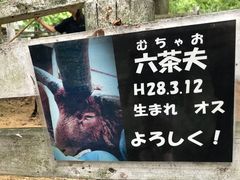 -神户市立六甲山牧场