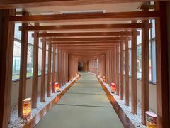 -重庆南山海昌汤都
