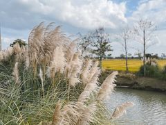 -嘉北郊野公园