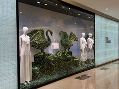 -Dior迪奥(国贸商城店)