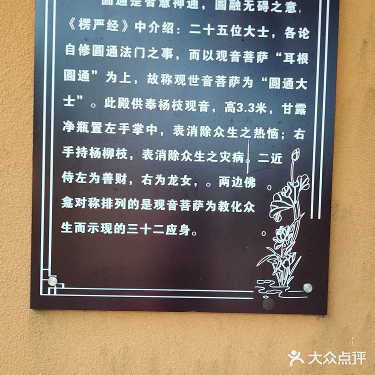 不到珞珈山，等于没来过普陀山🙏