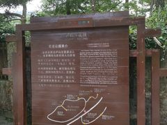 -庐山风景区花径公园